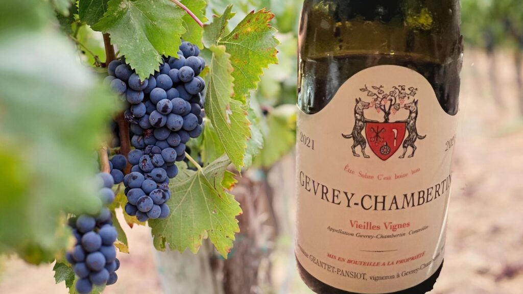 ジュヴレ シャンベルタン フランス赤ワイン