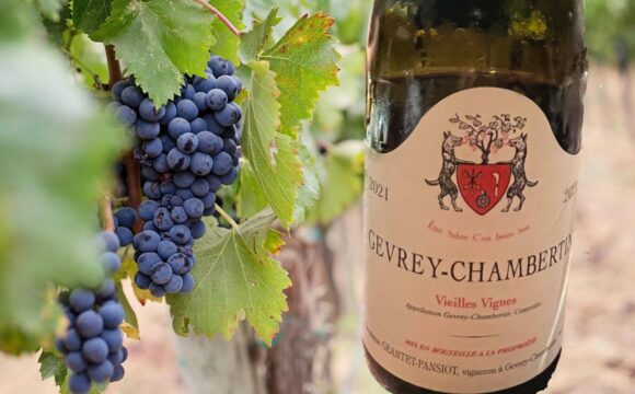 ジュヴレ シャンベルタン フランス赤ワイン